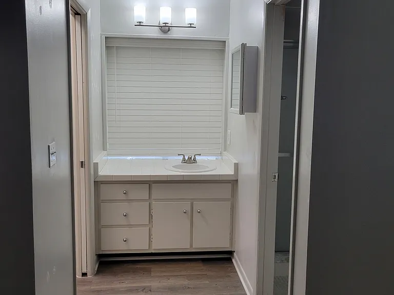 Master bath vanity.