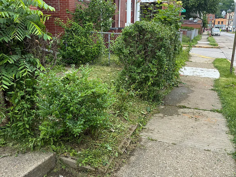 1102 Valley St #B — Photo 28