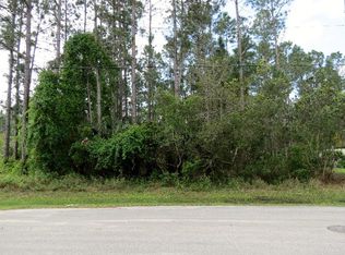 55 Robinson Dr, Palm Coast, FL 32164