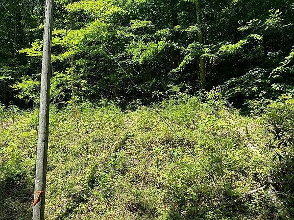 2nd image of 0 Larix Dr