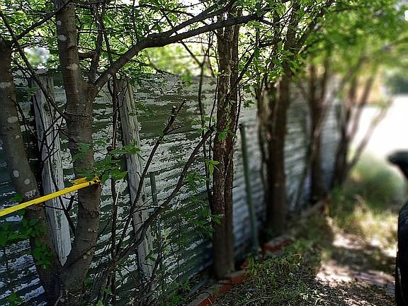 Front,side view driveway
