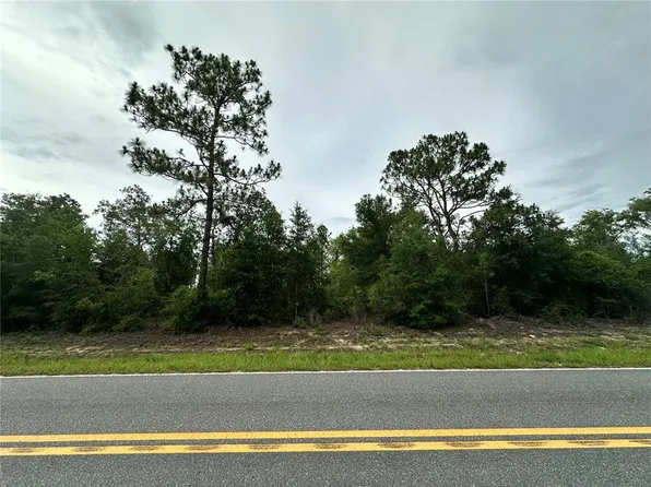 9191 NE 80th St, Bronson, FL 32621