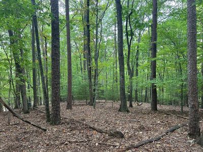 Hideaway Rdg, Blairsville, GA, 30512