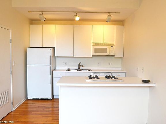 4th image of 903 S Kedzie Ave #1618