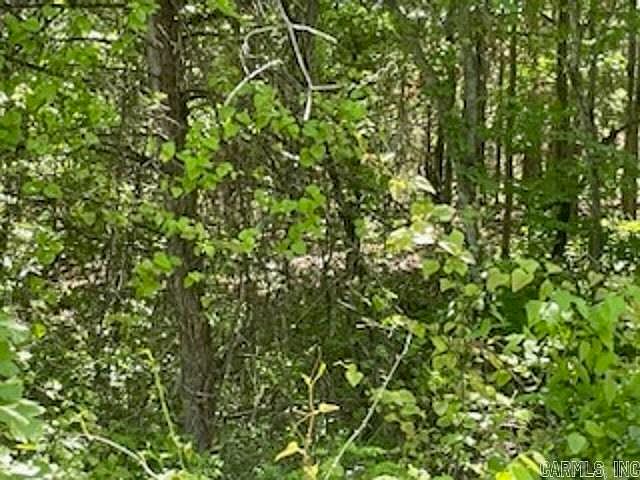 2nd image of 24 Pine Valley Dr