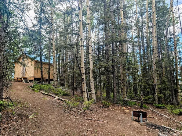 8.5 Acres Phillips Road, Fort Garland, CO 81133