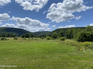 L51 Irish Hill Rd, East Berne, NY 12059