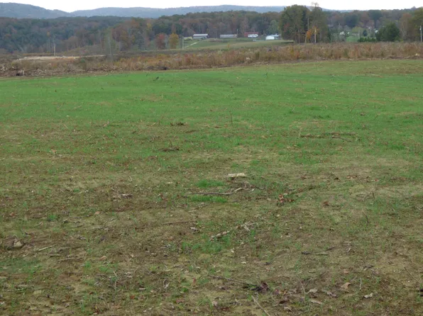 Grievers Chapel Rd, Rockwood, TN 37854