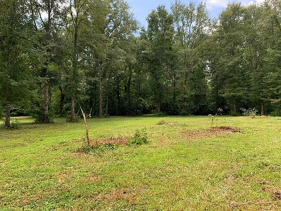 3rd image of LOT 5 W Prentiss St