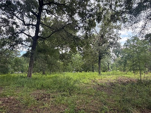 4th image of 278 County Road 6502
