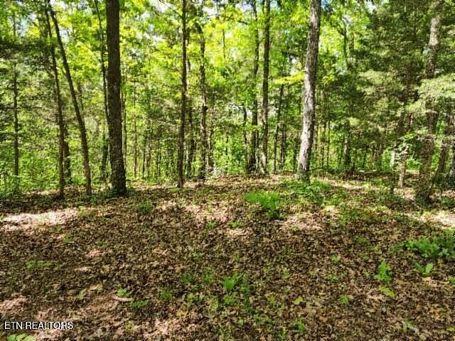 1st image of Forest Trails Ln