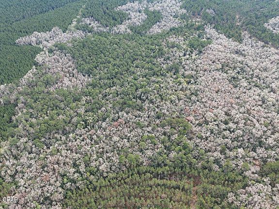 3rd image of 0 Clemmons Rd