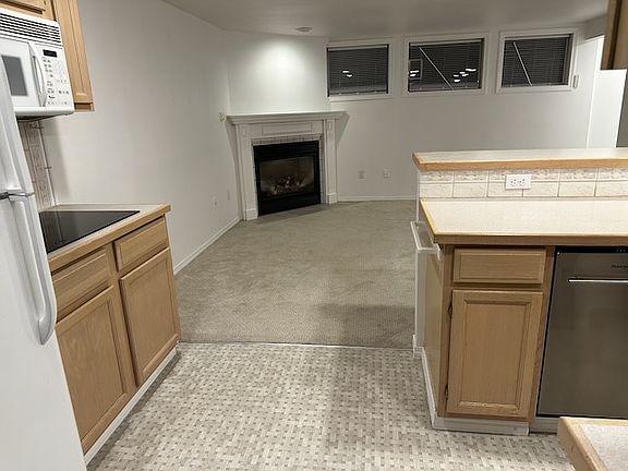 Updated Dishwasher and Cooktop
