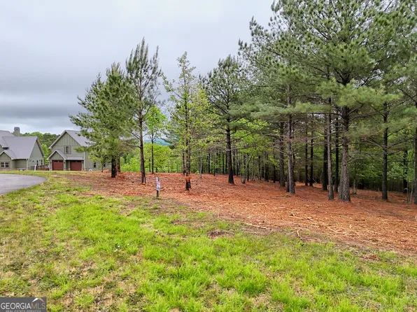 87 Northshore Dr, Blairsville, GA 30512