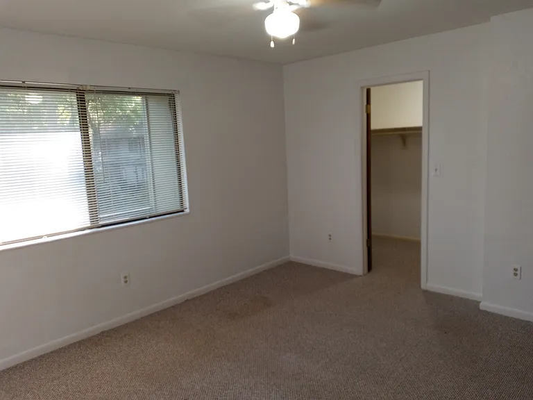4410 Black Forest Way — Photo 11