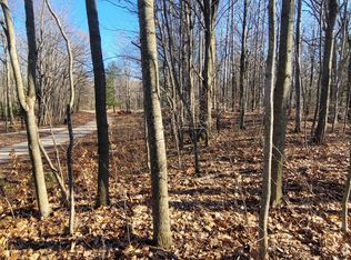 0 W Wildridge Rd, Mears, MI 49436