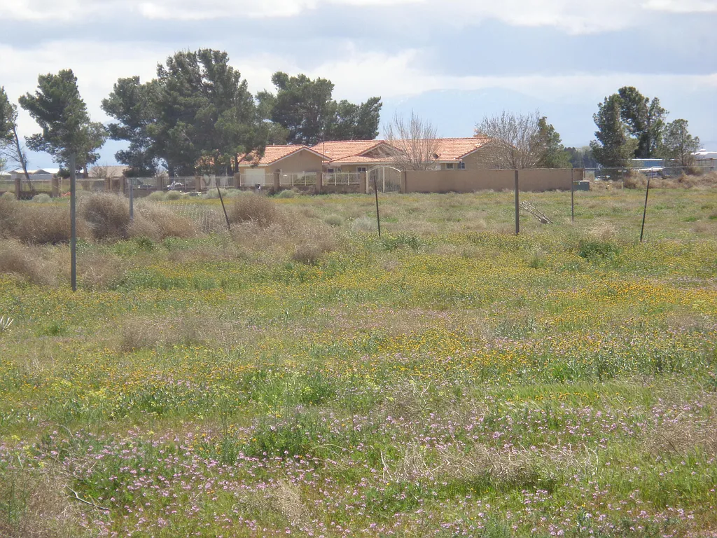 Property photo 3
