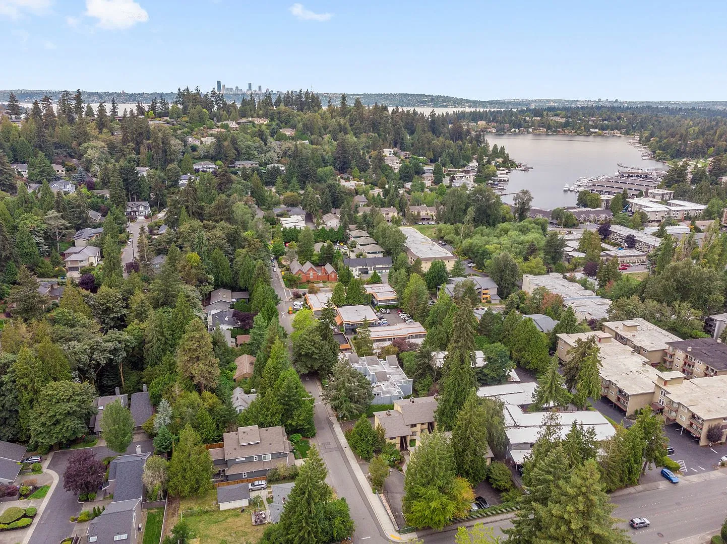 1Bd/1Ba Bellevue Condo — Photo 4