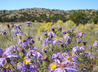 133 Paseo De La Tierra, Santa Fe, NM 87506