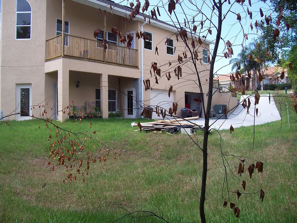 Left Rear Corner of Lot