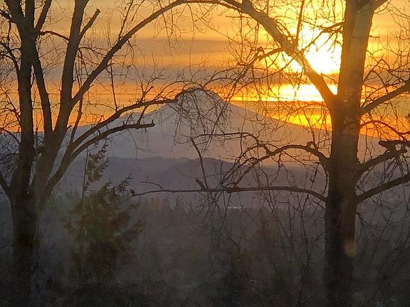 Winter view (zoom)