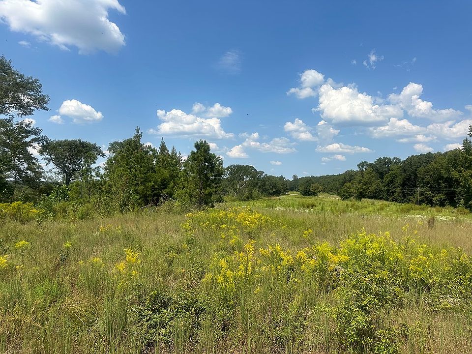 2nd image of 0 County Road 6636