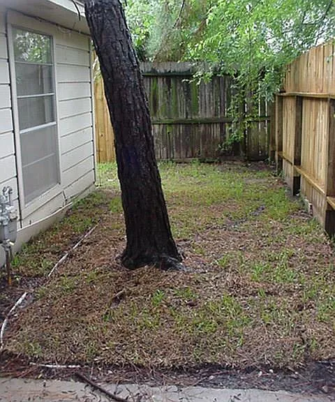 10826 Sugar Hill Dr #B — Photo 5