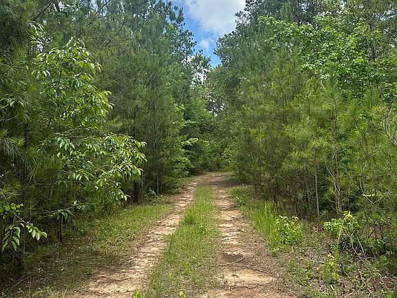 4th image of 1235/AC White Rd