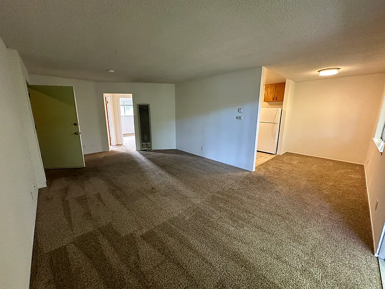 318 Gault St #6 — Photo 3