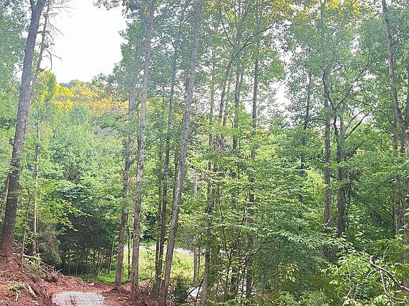 5th image of 3011 Ballplay Rd