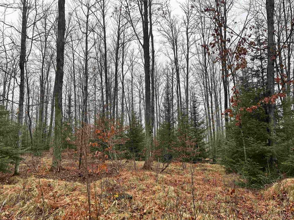 Herzog Rd, Iron Mountain, MI 49801