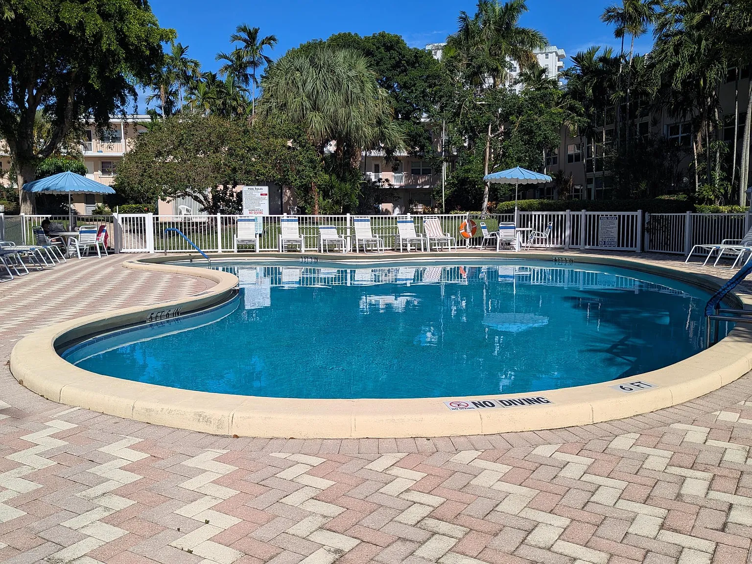 1 bed, 1.0 bath, 556 sqft, $1,750 — Photo 4