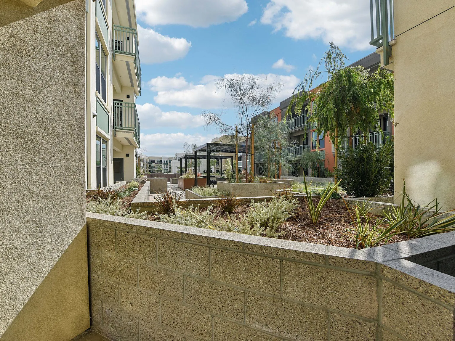 Cypress View (Jordan Downs Phase IIIB) — Photo 2