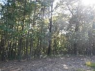 1st image of 374 County Road 1160 #24