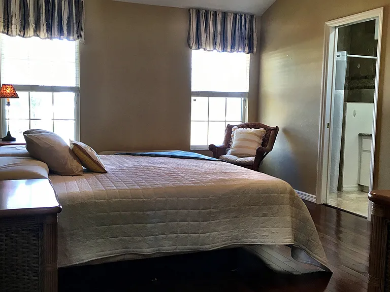 Master Bedroom with king size bed