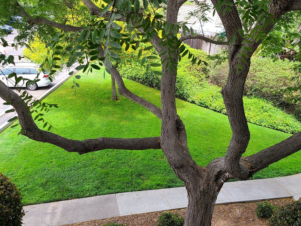 Deck over looks a park like setting and is very private