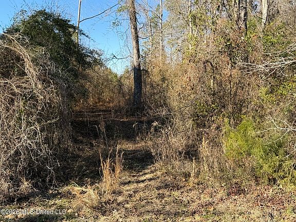 3rd image of 0 Delancy Rd