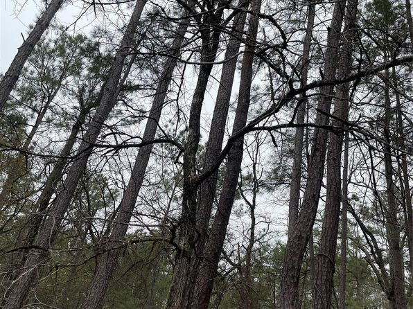 LOT 19 Hackberry Dr, Plantersville, TX 77363