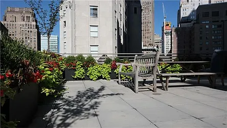 Rented by Stephen P. Wald