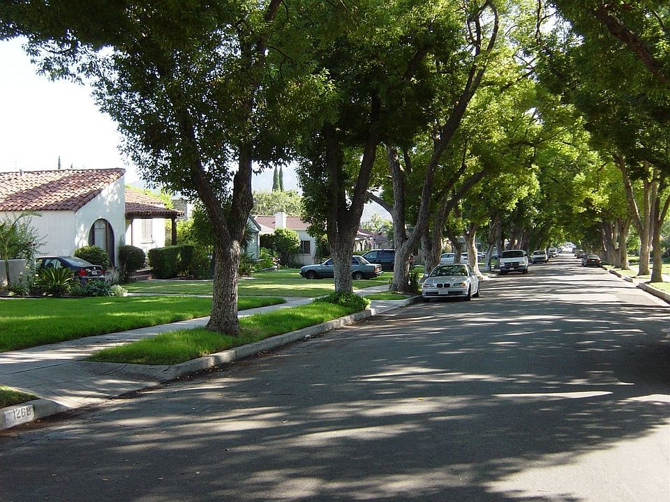 TREE-LINED STREET