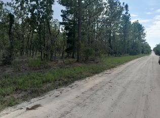 SE 4th St LOT 2, Williston, FL 32696