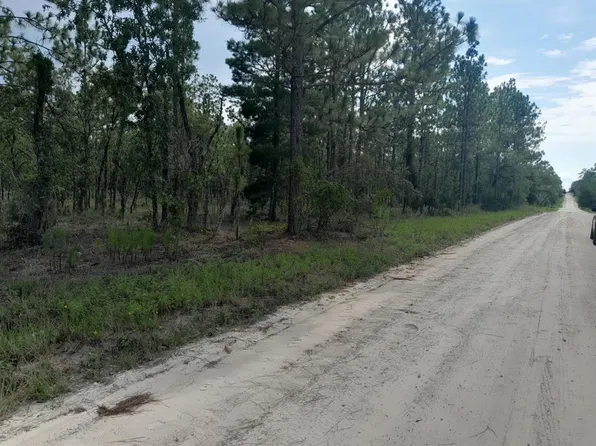 SE 4th St Lot 2, Williston, FL 32696