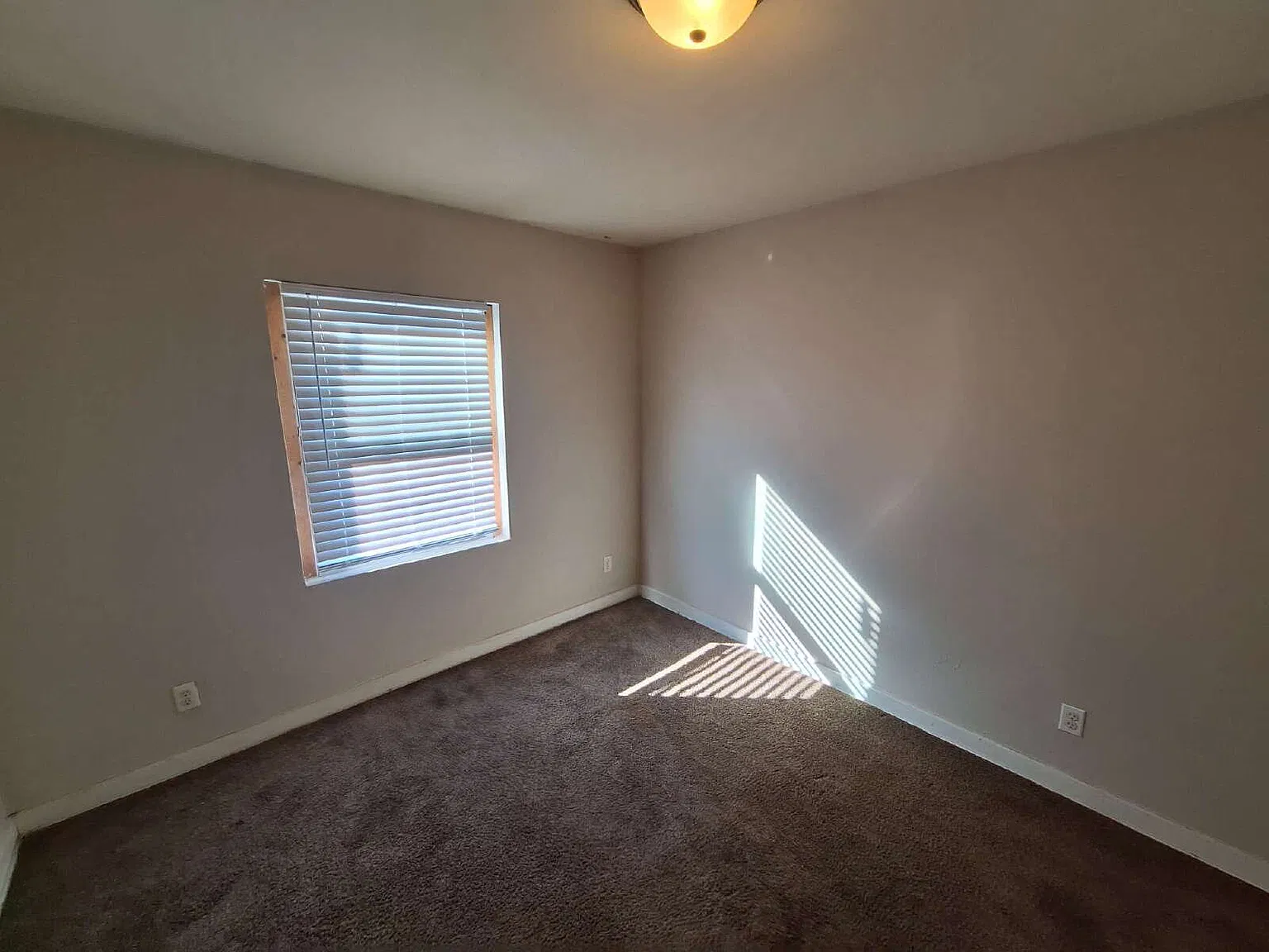 1 bed, 1.0 bath, 540 sqft, $650 — Photo 3