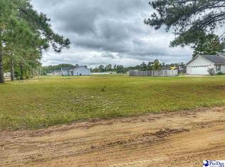 42 Ashtin Ct, Latta, SC 29565