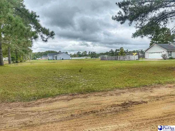 42 Ashtin Ct, Latta, SC 29565