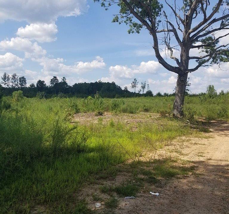 0 Tutelo Trl Hollister, NC, 27844 Apartments for Rent Zillow