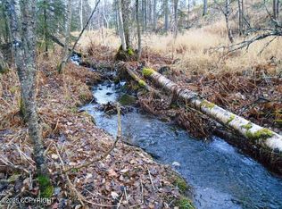 LOT 102 NW Loc Sault Ave, Anchorage, AK 99516