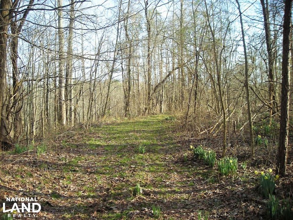North end of property near Bull Gap Rd.