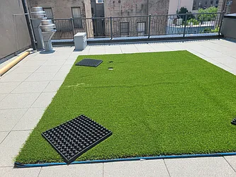 Rented by The Hamilton Group