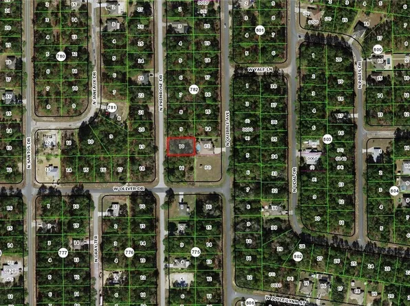 7697 N Primrose Dr, Citrus Springs, FL 34434